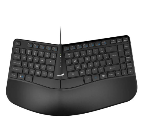 TECLADO GENIUS RS2 ERGO KB-700 NEGRO USB
