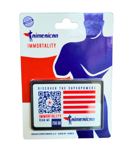 DISCO DURO SOLIDO AIMERICAN 256GB SSD 2.5" SATA III 6GB/S 3D NAND