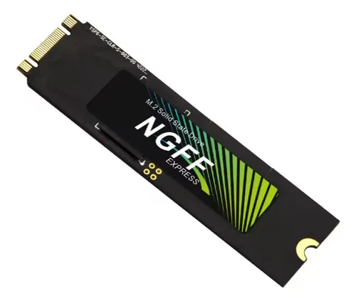 DISCO SOLIDO CEAMERE NGFF 256GB