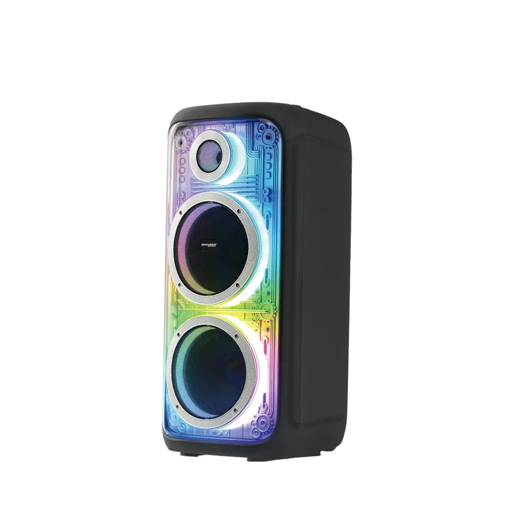 CORNETA DOBLE 8" 100W DMCLY-DS8G 