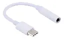 ADAPTADOR USB C A AUXILIAR